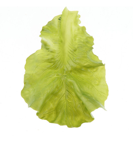 Artificial Realista Falsa Verdura Lechuga Modelo Decoración