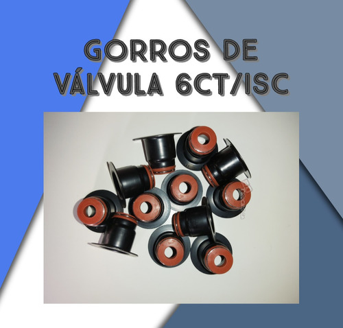 Gorros/sellos De Válvula Ford Cargo 1721 6ct/isc