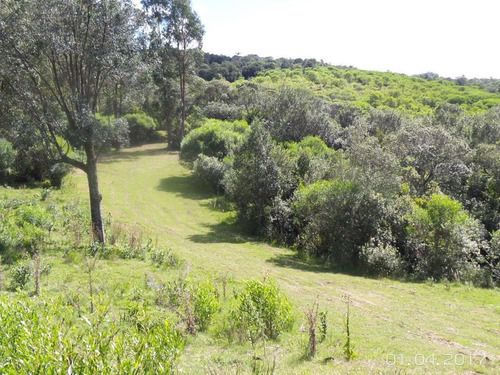 Campo - Otras