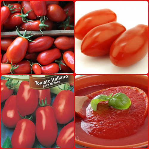 400 Sementes Do Delicioso Tomate Italiano + Guia De Plantio
