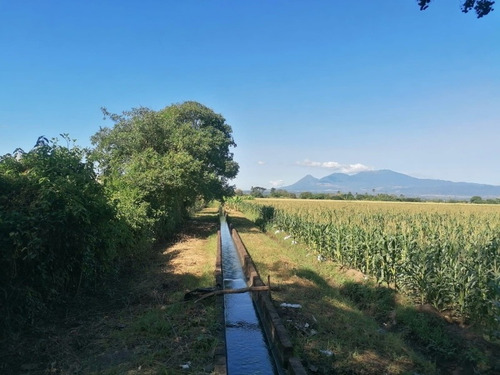 Imagen 8 de 8 de En Venta 10 Mz, Para Actividades Agrícolas O Agroindustria.