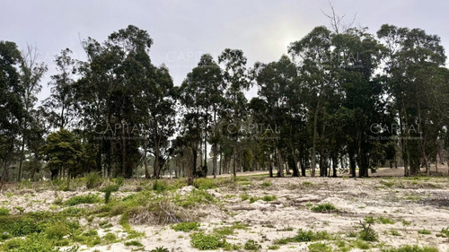 Terreno En Venta En Barrio Privado La Cañada - Distrito 52