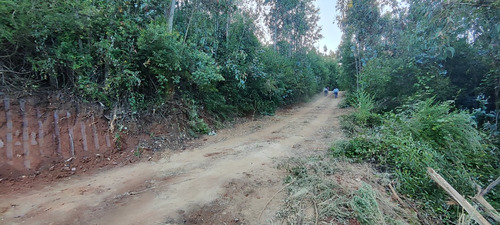 Parcela En Concepción A 5 Minutos Collao Después D Palomares