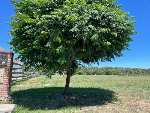 Venta Lote Etapa I En El Campo Cardales, Campana Gba Norte