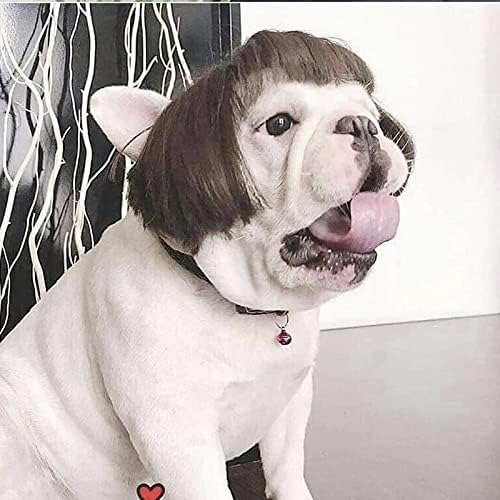 Peluca Para Mascota De Estilo Carré, Flequillo Recto, Marrón