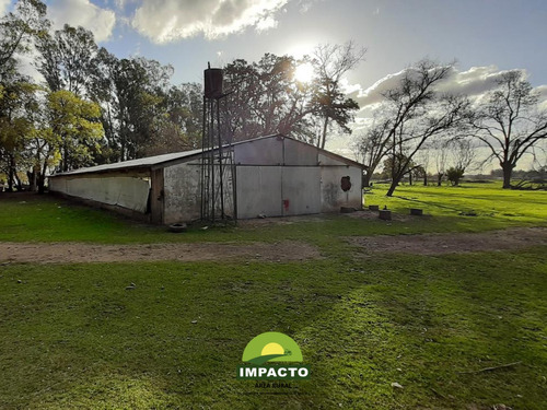 En Venta Campo La Matanza, Buenos Aires 5,2 Has Casa Y Galpon 