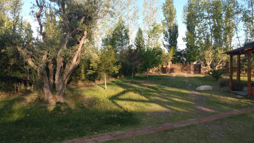Imagen 7 de 14 de San Rafael Mendoza Excelente Propiedad