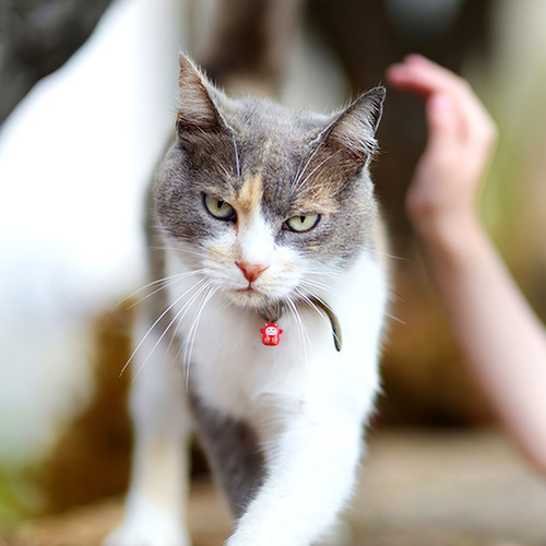 18 Cascabeles Con Forma De Gato De La Fortuna, Estilo Japoné