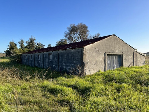 Excelente Campo De 102 Has Ganadero Con Casas Y Galpón
