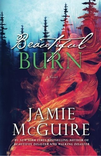 Book : Beautiful Burn A Novel (the Maddox Brothers Book 4) -