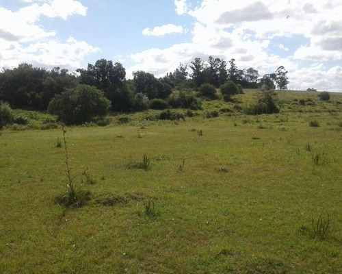 Mieres Vende 79.50 Has | Campo | Camino Corte De La Leña