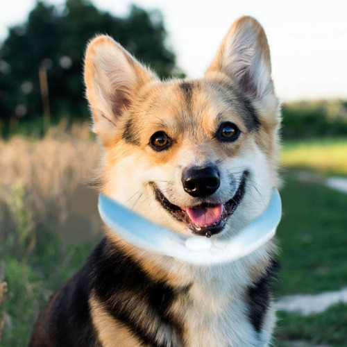 Collar De Hielo Para Perros Banda Refrescante Para El Cuello