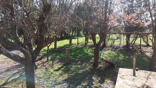 Vendo 3 Lotes D 41x83mts En Ruta 3 Km 36 Barrio Oro Verde