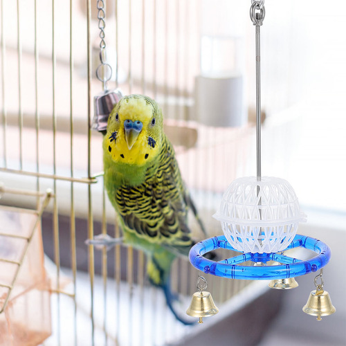 Comedero Multifuncional Para Loros, Herramienta De Alimentac