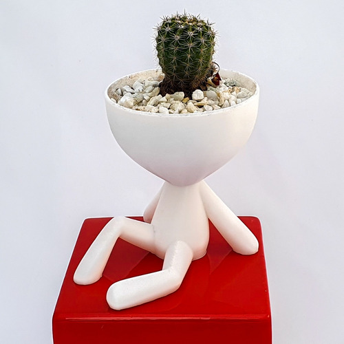 11 Macetas 3decofriendly Suculentas Cactus Robert Plant