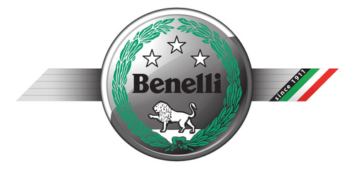 Flotante Combustible Benelli 600