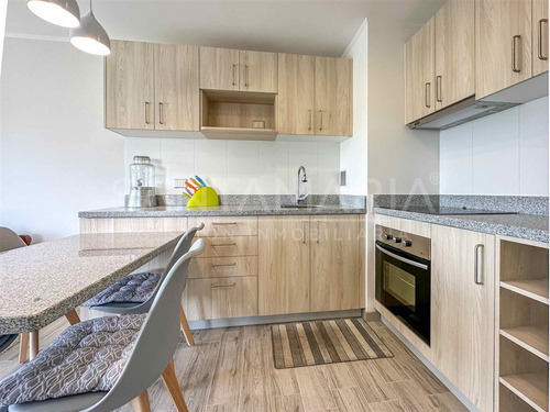 Arriendo Departamento Ubicado En Anibal Pinto, Concepción.