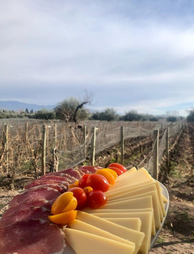 Zuccardi Poligonos Tupungato Semillon