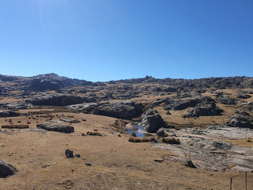 Imagen 24 de 30 de Se Vende Espectacular Fraccion De 70 Hectareas Con Agua, Pastizal, Vistas Unicas, Red 4g Personal En Los Gigantes