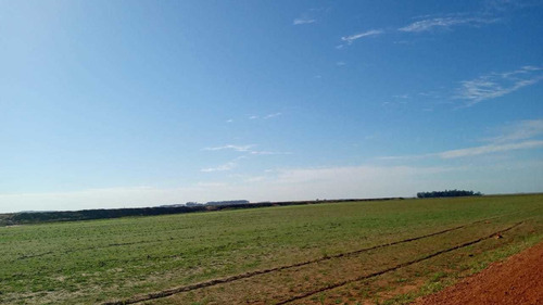 Imagem 9 de 10 de Fazenda Com 3750 Hectares Para Lavoura Em Itaqui - Rs