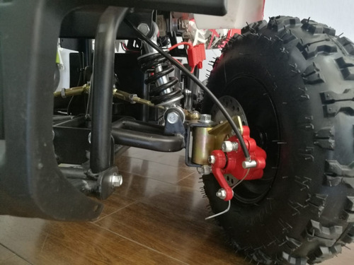 Imagen 2 de 25 de Cuatriciclo Parrillero Electrico 800w Sunra Eco Capital Atv