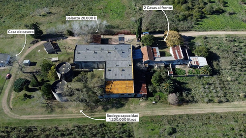 Venta Bodega O Deposito 10 Hectareas, Toledo Chico