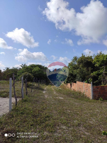 Terreno Na Praia De Pipa À Venda, 23000 M² - Centro - Tibau Do Sul/rio Grande Do Norte - Te0097