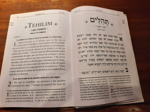 Libro Editorial Bnei Sholem Salmos Tehilim Hebreo-español