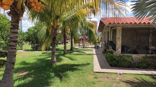 Imagen 1 de 8 de Venta De Espectacular Finca Productiva En Guárico - Inmobiliaria Maggi 1246