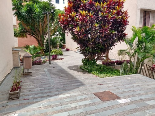 Imagem 1 de 22 de Apartamento Com 2 Dormitórios À Venda, 60 M² - Rudge Ramos - São Bernardo Do Campo/sp - Ap66093