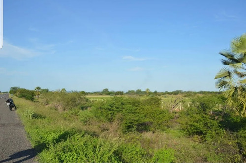 Lote De 11° Hectares De Terra.