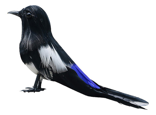 Taxidermia Realista Urraca