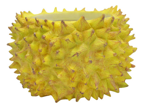 Maceta Durian, Florero, Maceta De Frutas, Macetero Para