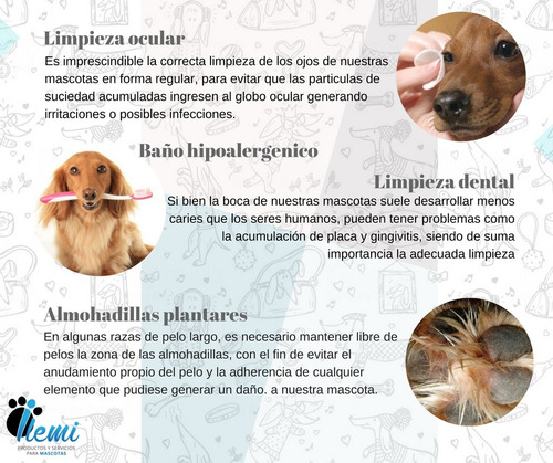 Imagen 3 de 5 de Peluqueria Canina Servicio Premiun Con Retiro De Mascota