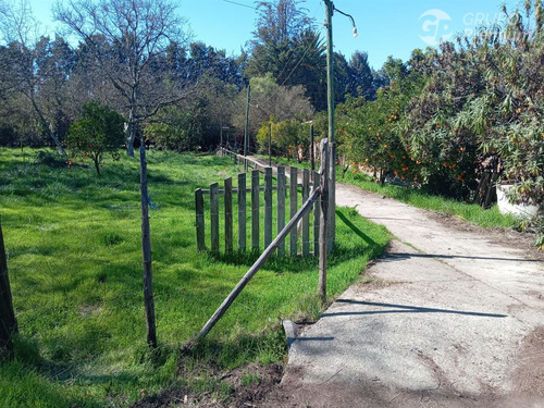 Parcela En Venta En San Felipe