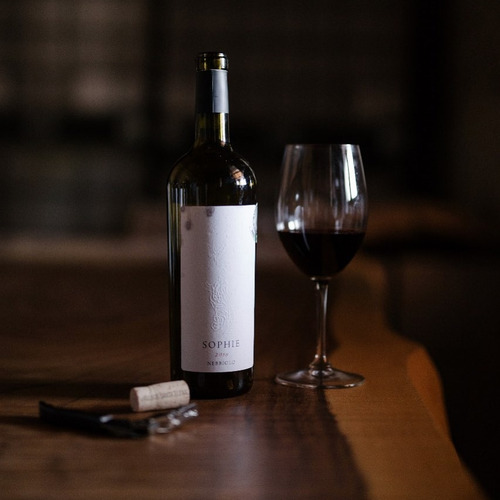 Imagen 3 de 3 de Vino Tinto Nebbiolo Sophie Vinicola Santa Elena 750 Ml