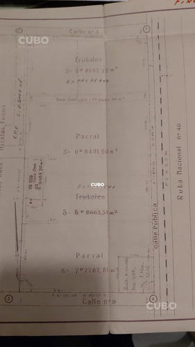 47 Hectareas De Campo Con Gran Frente En Ruta Nacional 40 (acceso Sur) Ugarteche Lujan De Cuyo