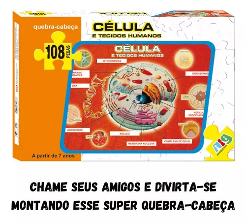 Quebra Cabeça Didático