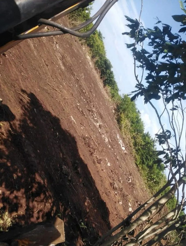 Terreno De Inversion En Yucatan A Pocos Min Del Tren Maya Y