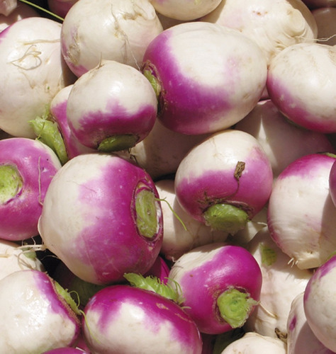 Imagem 3 de 5 de Nabo Purple Top White Globe 50 Sementes Para Mudas