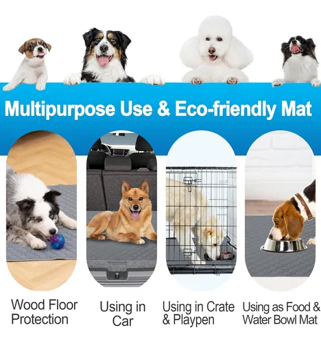 Empapadores Lavables Para Perros, Absorbentes Rápidos Y R...