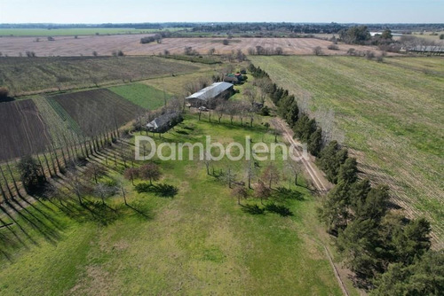 Imagen 7 de 30 de Campo En Venta - General Rodríguez - G.b.a. Zona Oeste