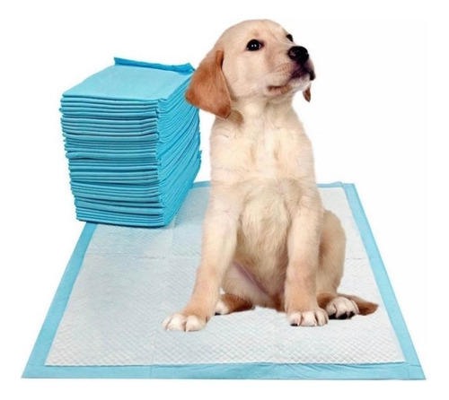 40 Sabanillas Ultra Absorbentes Mascotas 60x60 Pañal Perros 