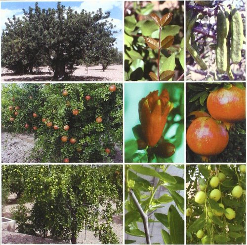 Libro Tratado De Fruticultura Para Zonas Áridas Y Semáridas