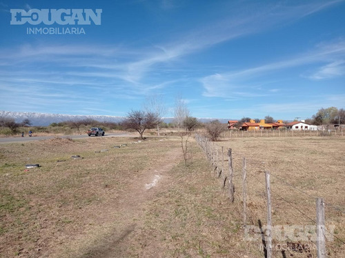 Imagen 3 de 5 de Terreno - Santa Rosa De Conlara