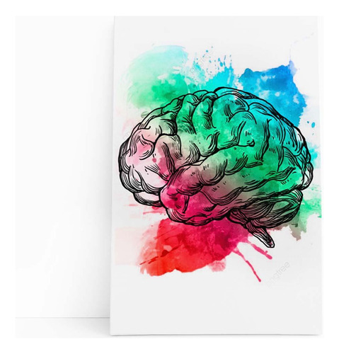 Quadro Canvas Cérebro Colorido Minimalista Arte 60x40cm