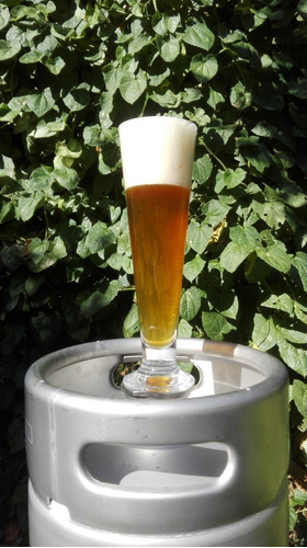 Imagen 4 de 5 de Alquiler De Choperas Cerveza Artesanal (celular 1126160666)
