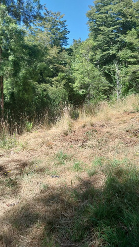 Parcela De 5000m2 A Orilla De La Ruta 206 Valdivia-paillaco