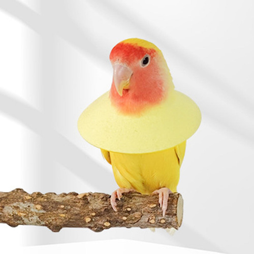 5 Collar Antimordeduras Para Loros Y Pájaros, Fácil De Sg