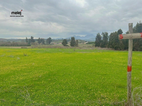 Venta Terrenos En Los Laureles, Limache
